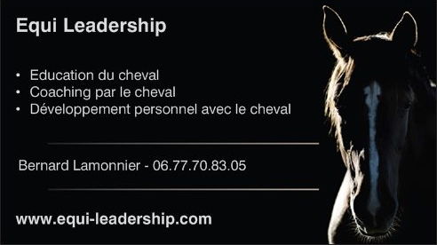 Equi Leadership